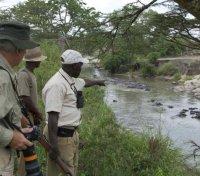 Hippo Pool